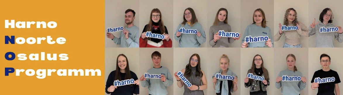 Picture from HARNO website depicting HARNO’s Youth Participation Program NOP